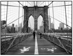 ShopDeckTheWallsArt.com, ShopForArt, Art, Framing