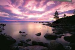 ShopForArt, ShopDeckTheWallsArt.com, Framing, Custom, Decor, Art