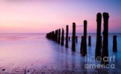 ShopForArt, ShopDeckTheWallsArt.com, Framing, Custom, Decor, Art