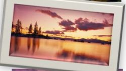 ShopForArt, ShopDeckTheWallsArt.com, Framing, Custom, Decor, Art
