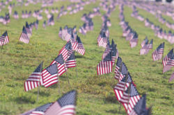 American Flags