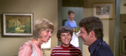 brady-bunch-12