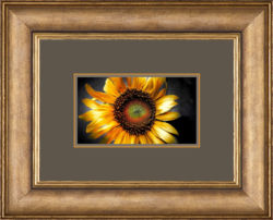 Lille Medium Gold 2