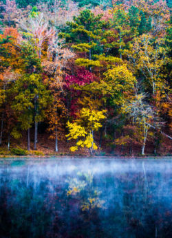 colors-in-early-morning-fog-parker-cunningham