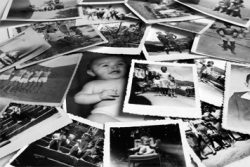 family tree photo